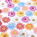 50pcs Flower Series Wood Buttons Sewing Scrapbooking  DIY Clothing Wooden DecFT