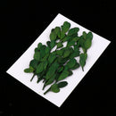 Natural Dried Flowers Bouquet Dry Flowers Decorative Leaf Bouquet ,Real Pressed