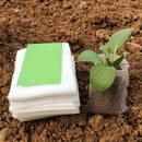 8x10 Biodegradable Non-woven Nursery Bags/Plant Grow Pots Bags/Fabric Seedl B8D4