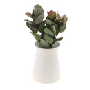 6 Branches Artificial Eucalyptus Leaves Plant Home Room DIY Floral Decor