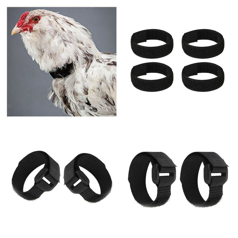 Set Of 8 Anti-crows Cock Collars With No