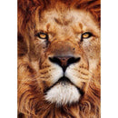 5D DIY Full Drill Diamond Painting Lion Embroidery Mosaic Craft Kit (hg406)