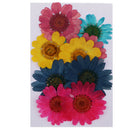 2 Set Mix Color Dried Real Pressed Flowers Mini Rose/Daisy/Larkspur/Myosotis