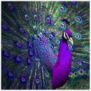 Icon Diamond Embroidery Peacock Crystal 5D Cross Stitch Full Square Drill D O1J6