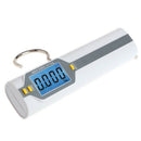 50Kg/10g Mini Digital LCD Luggage Scales Hang Fishing Hook Hand Scale with Ruler