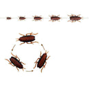 Dog Cat Interactive Electronic Cockroach Intelligence Training Pet Activity Q3Q4