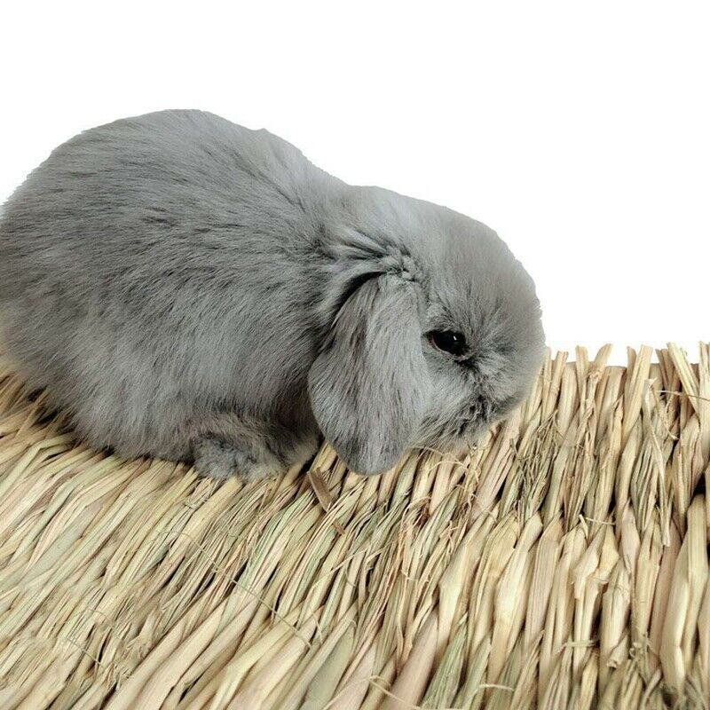 Rabbit Mat,Grass Mats For Rabbits,Safe & Edible Rabbit Mats For Cages,Bunny
