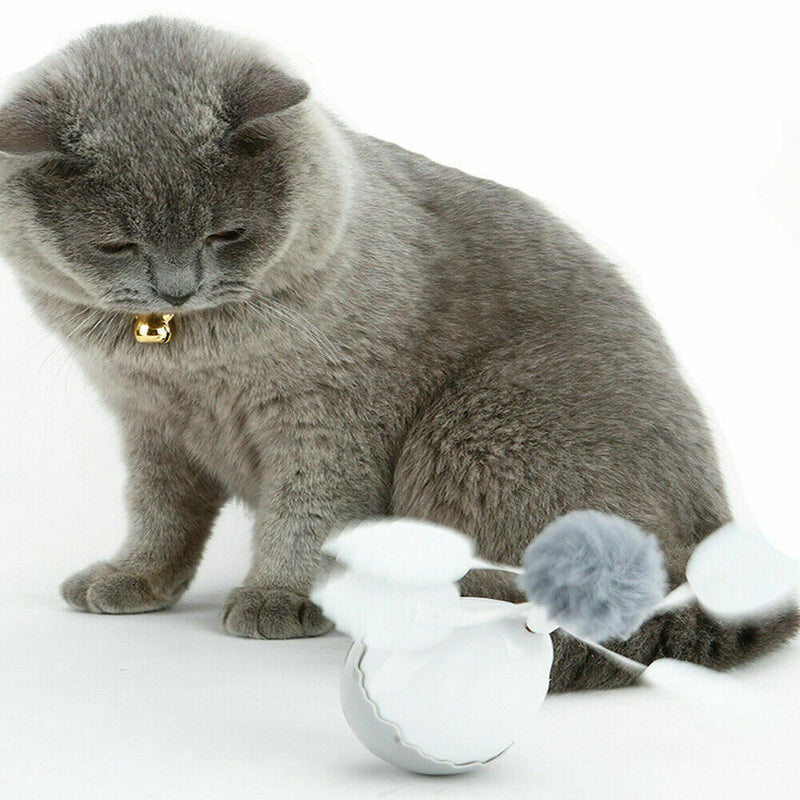 360Ã‚Âº Rotating Leaves Pet Cat Funny Feather Tumbler Teasing Interactive Toys