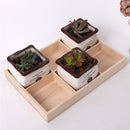 5Pcs Wooden Storage Box Jewelry Box Flower Pot Succulent Planter Storage 6 Grid