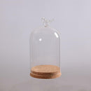 Bird Decorative Glass Dome with Wooden Base - Cloche Bell Jar Display 15cm