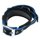 Pet Dog Collar Neck Belt with Adjustable Strap Dog Cat Pet Accessories Blue