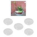 5Piece Clear Plant Saucer Drip Water Trays Base 9.8inch BPA Free Recyclable