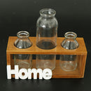 Tabletop Glass Terrarium for Hydroponics Plants Home Decor-3 Bottle
