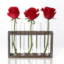Test Tube Glass Vase Hydroponic Vase Wooden Frame Tabletop Vase Stand 5 Tube