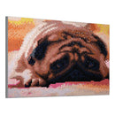 5D DIY Full Drill Square Diamond Painting Sad Dog Cross Stitch Embroidery