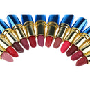 12 Pack Professional Matte Lipstick Set Long Lasting Waterproof Matte Tint Lip