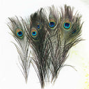 20pcs Beautiful Natural Peacock Feathers for Birthday Party Gift Banque DIY DBH