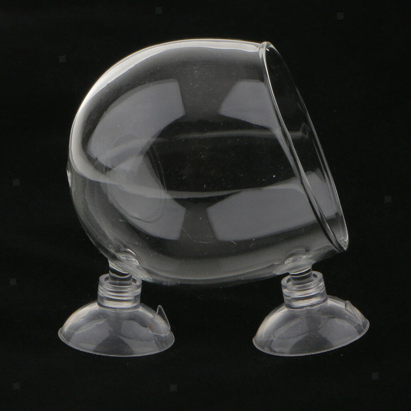 4pcs Aquatic   Tank Crystal Glass Plant Pot Glass Sucker Cup Hanging Vase