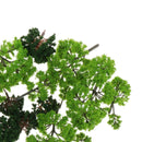 20pcs Landscape Pieces Green Tree Multi-scale DIY Projects Landscape Layout