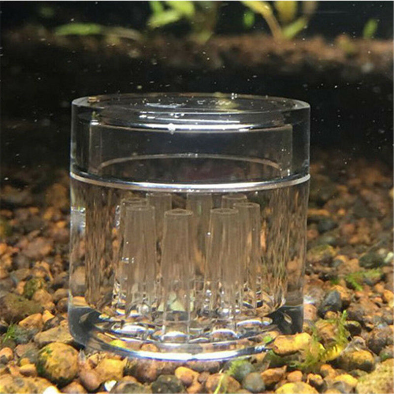 8Hole snail trap free bait for aquarium fish plants tank Planarian leech CatchOZ