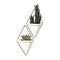 Modern Indoor Plant Flowerpot Interior, Modern Decorative Hanging Flower Po S8K3