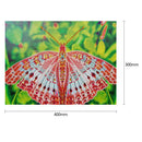 5D DIY Special-shaped Diamond Painting Cross Stitch Kit (D1035 Dragonfly)