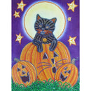 5D DIY Special Shaped Diamond Painting Pumpkin Cat Embroidery Mosaic Kits