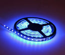 5M 3528 Waterproof LED Flexible Light Strip 12V with 300 SMD LED Blue