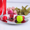 Large Round Stainless Steel 16cm Serving Tea Tray With Dot Design