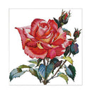 14CT 43x44cm Rose Flower Stamped Cross Stitch Kit Needlework for Beginners