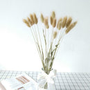 Dried Flowers Bouquet Rabbit Tail Grass Real Flower Weddings Home Decors New 60pcs