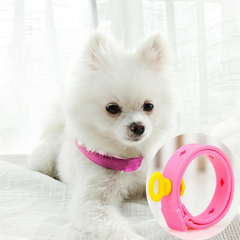 1Pc Dog Kitten Adjustable Pet Collar Neck Strap Remedy Anti Flea MiteAcariTickHJ