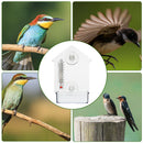 Balcony With Thermometer Pet Supplies Transparent PVC Window Bird Feeder Home