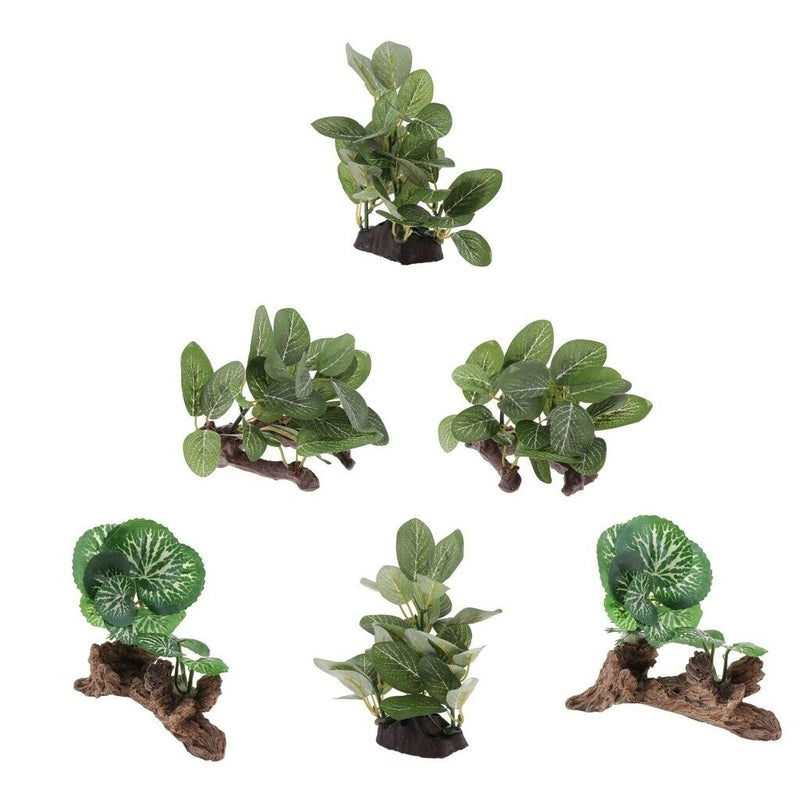 6x Reptile Plant Terrarium Plant Reptile Hiding Plant   Turtle Habitat