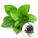 50 Pcs Mint AU HOT F4V5