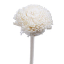 5pcs Flower Rattan Reeds Fragrance Diffuser Non-fire Replacement Refill Stic â„–[