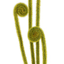 Artificial Green Vine Rolls Stems Branches Simulation Bouquet Accessories