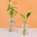 Glass Bubble Flower Vase Glass Planter Hydroponics Air Plant Bulb 2 Balls