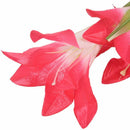Solar Powered Energy Saving LED Color Changing Red Lily 4X Flowers Garden L D2T8