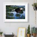 5D DIY Full Drill Diamond Painting Eagle Cross Stitch Embroidery (C1184)
