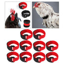 10 Pieces Chicken Collar Prevent Rooster from Screaming for Poultry Duck Red