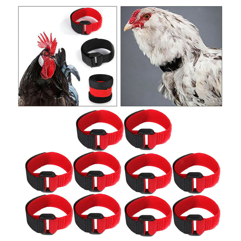 10 Pieces Chicken Collar Prevent Rooster from Screaming for Poultry Duck Red