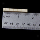 2Pcs New High Quality Buffalo Bone Nut for Les Paul LP Type Electric Guitars