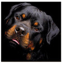 Full Drill Black Dog DIY Diamond Painting Embroidery Cross Crafts Stitch Kit