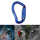 Screwgate Carabiner