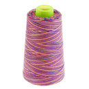 Rainbow Color Polyester Sewing Thread 40s/2 for Hand and Sewing Machine 5#
