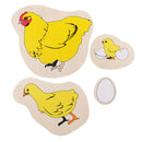Montessori Materials The Evolution Process Of Hens For Kids Early Education