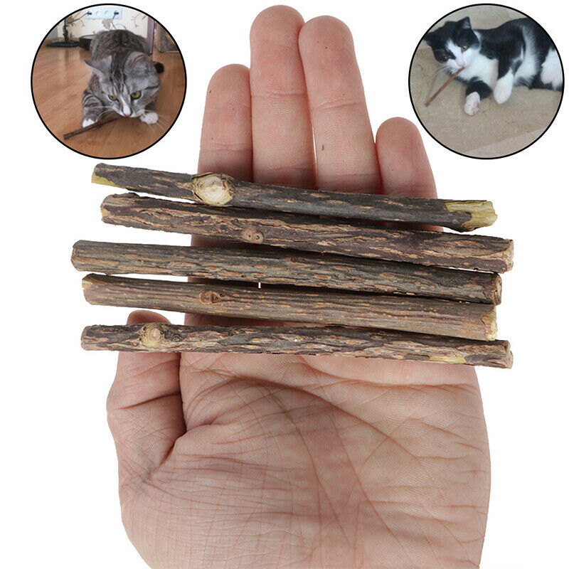 5 pcs Cat Cleaning Teeth Pure Natural Catnip Stick Pet Molar Toothpaste Snack-
