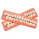Full-mouth Denture super Wear-resistant dental Oral Care
