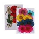 2 Set Mix Color Dried Real Pressed Flowers Mini Rose/Daisy/Larkspur/Myosotis